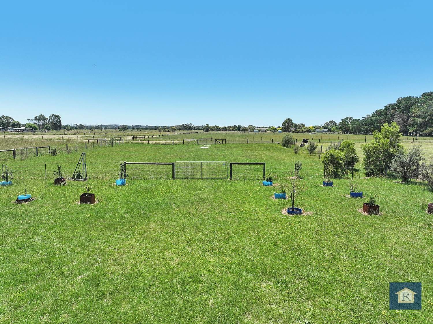 39 Neale Street, Elliminyt For Sale by Farmbuy.com - image 5