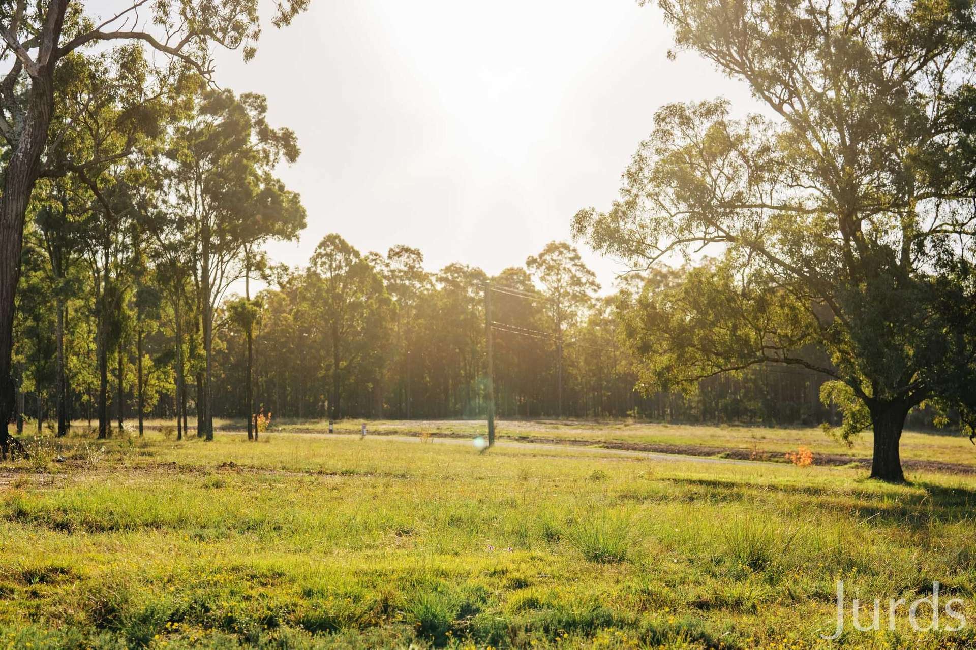 Wisemans Way, Sedgefield For Sale by Farmbuy.com - image 16