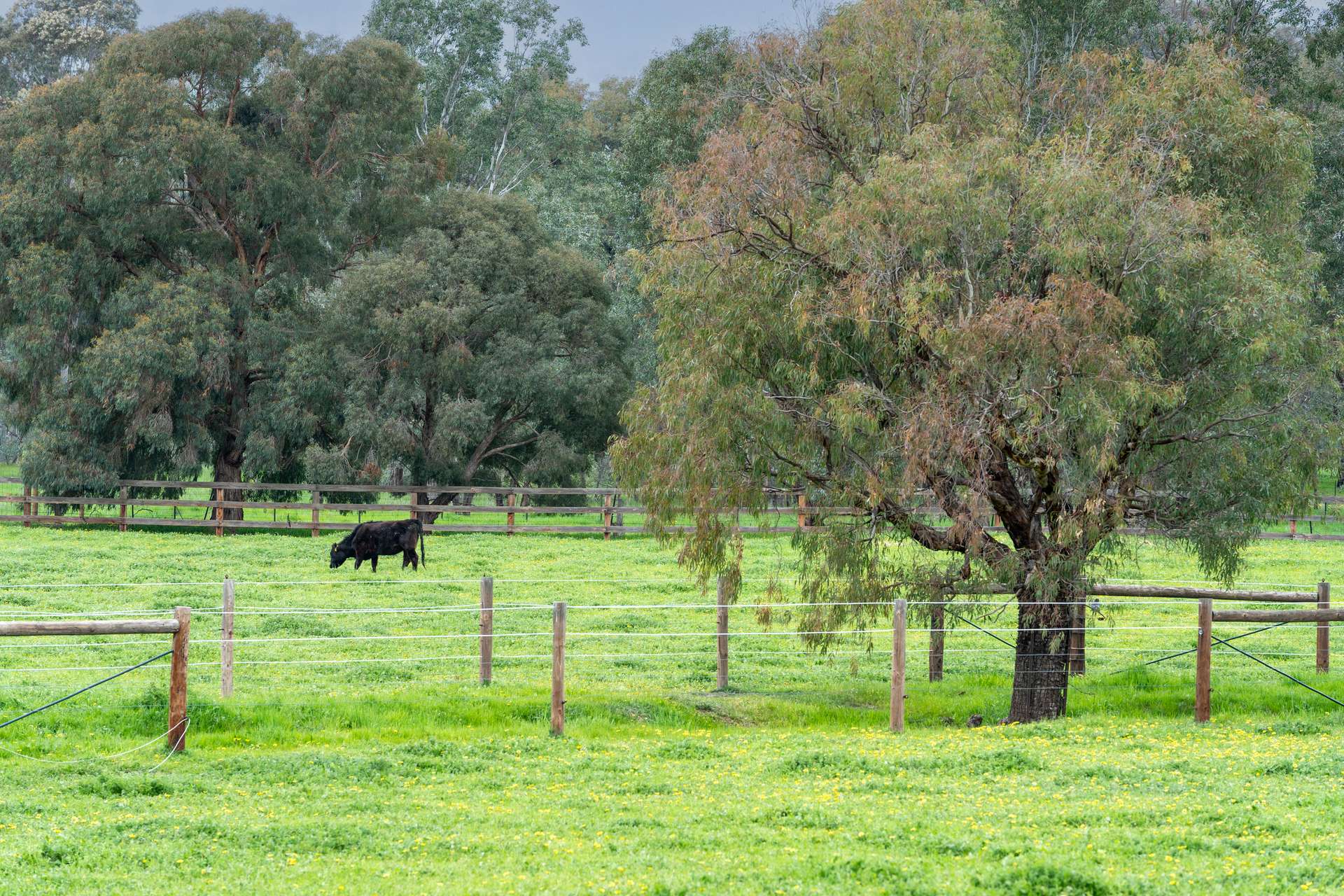 75 Balmattum Siding Road, Euroa Sold by Farmbuy.com - image 22