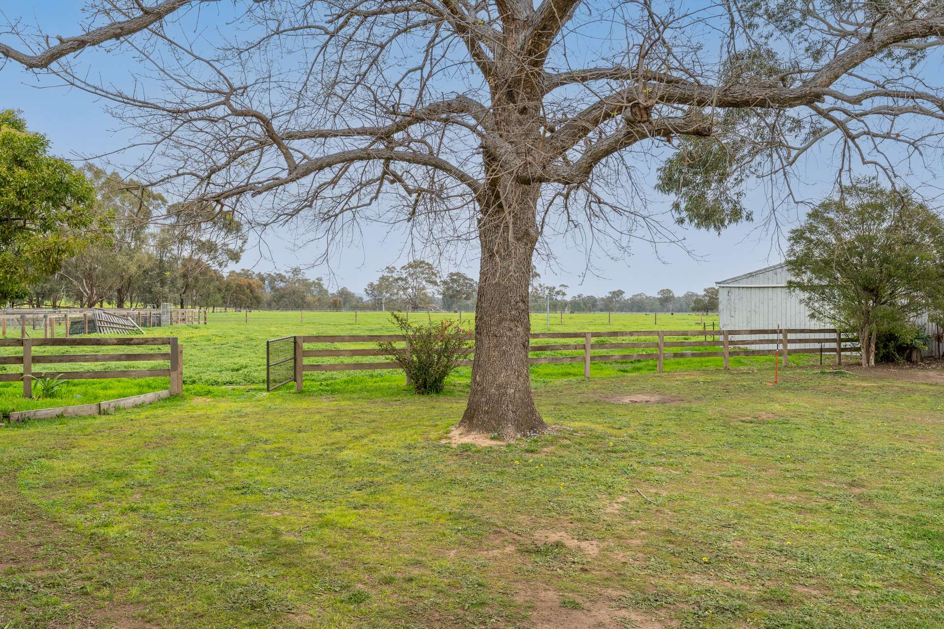 75 Balmattum Siding Road, Euroa Sold by Farmbuy.com - image 34