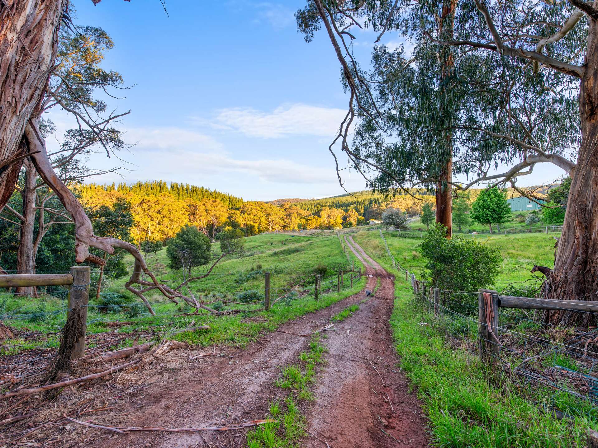 43 Johnsons Lane, Willung South For Sale by Farmbuy.com - image 24