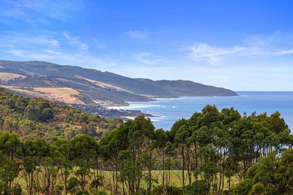 295 Montrose Avenue, Apollo Bay For Sale by Farmbuy.com - image 6