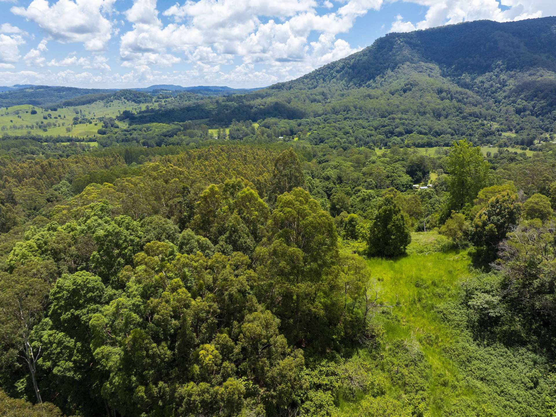 353 Gungas Road, Nimbin Sold by Farmbuy.com - image 33