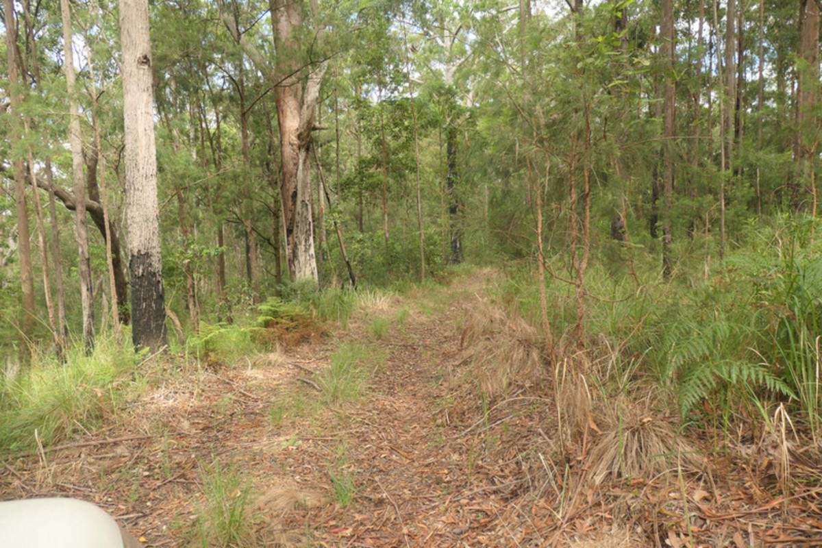 Lot 46,  Rocky River Road, Rocky River Sold by Farmbuy.com - image 25