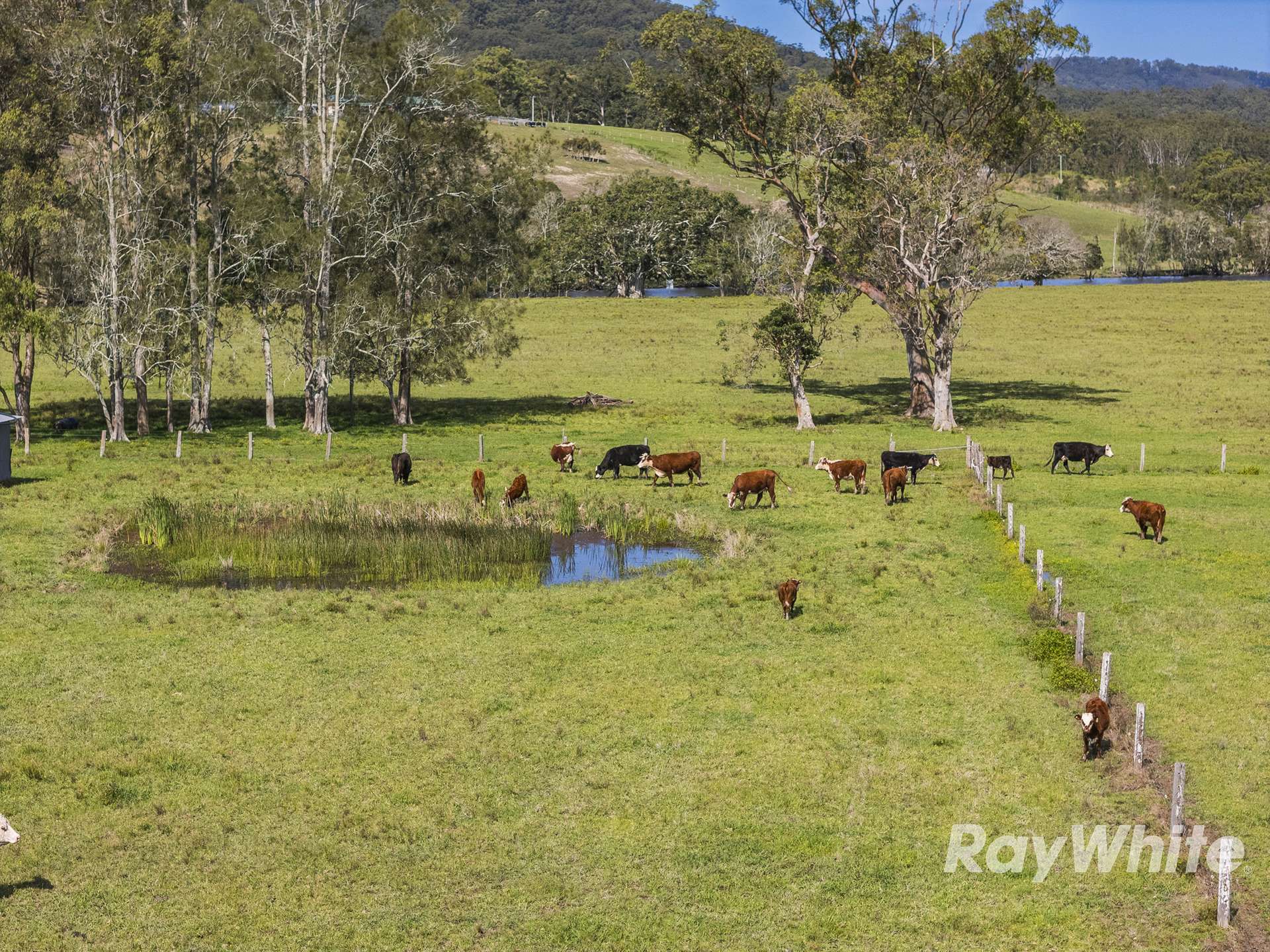 19 Kestevens Road, Bulahdelah For Sale by Farmbuy.com - image 3