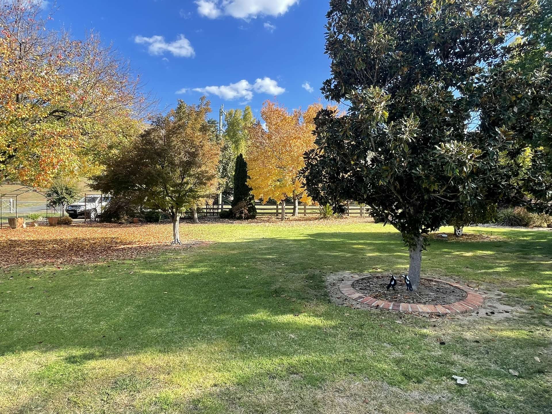 213 Punch Street, Gundagai For Sale by Farmbuy.com - image 4
