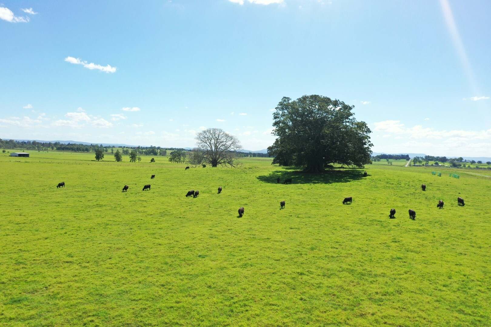 150 Fairy Hill Station Rd, Casino Sold by Farmbuy.com - image 9