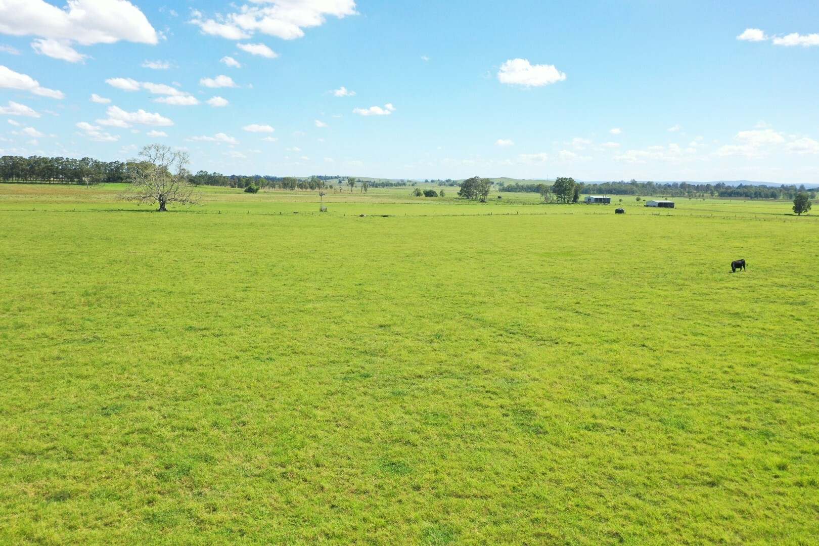 150 Fairy Hill Station Rd, Casino Sold by Farmbuy.com - image 10