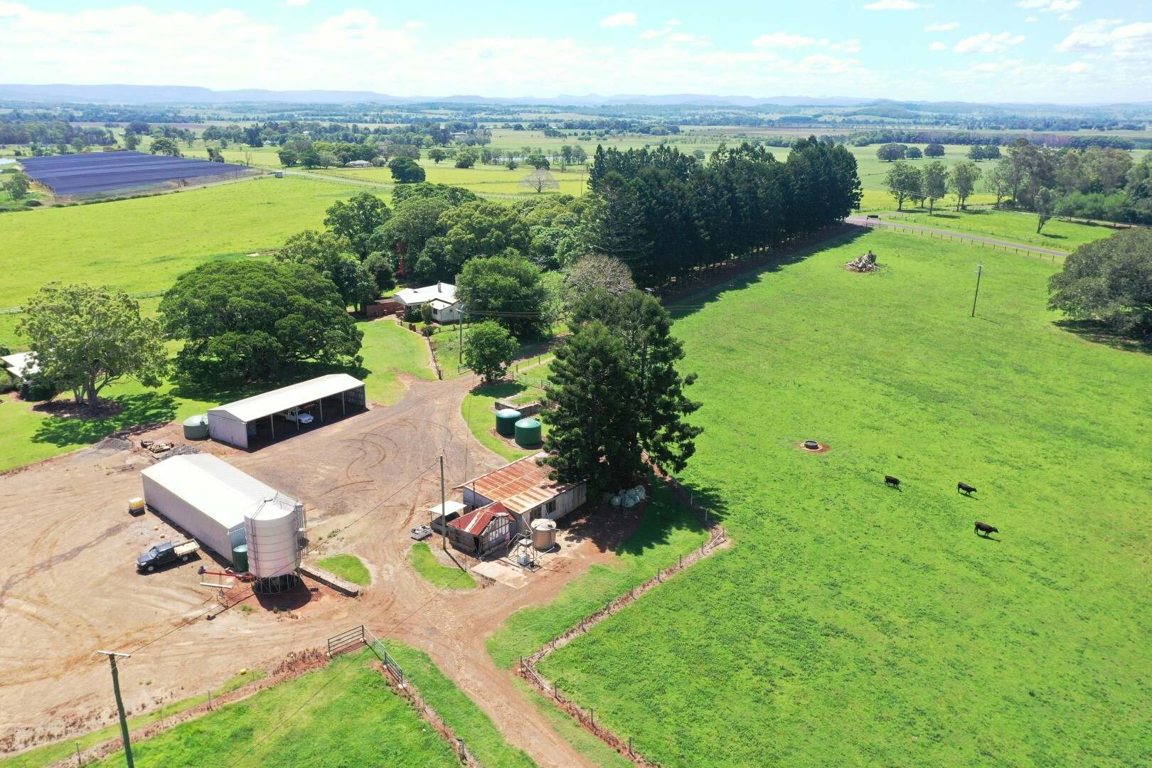 150 Fairy Hill Station Rd, Casino Sold by Farmbuy.com - image 8