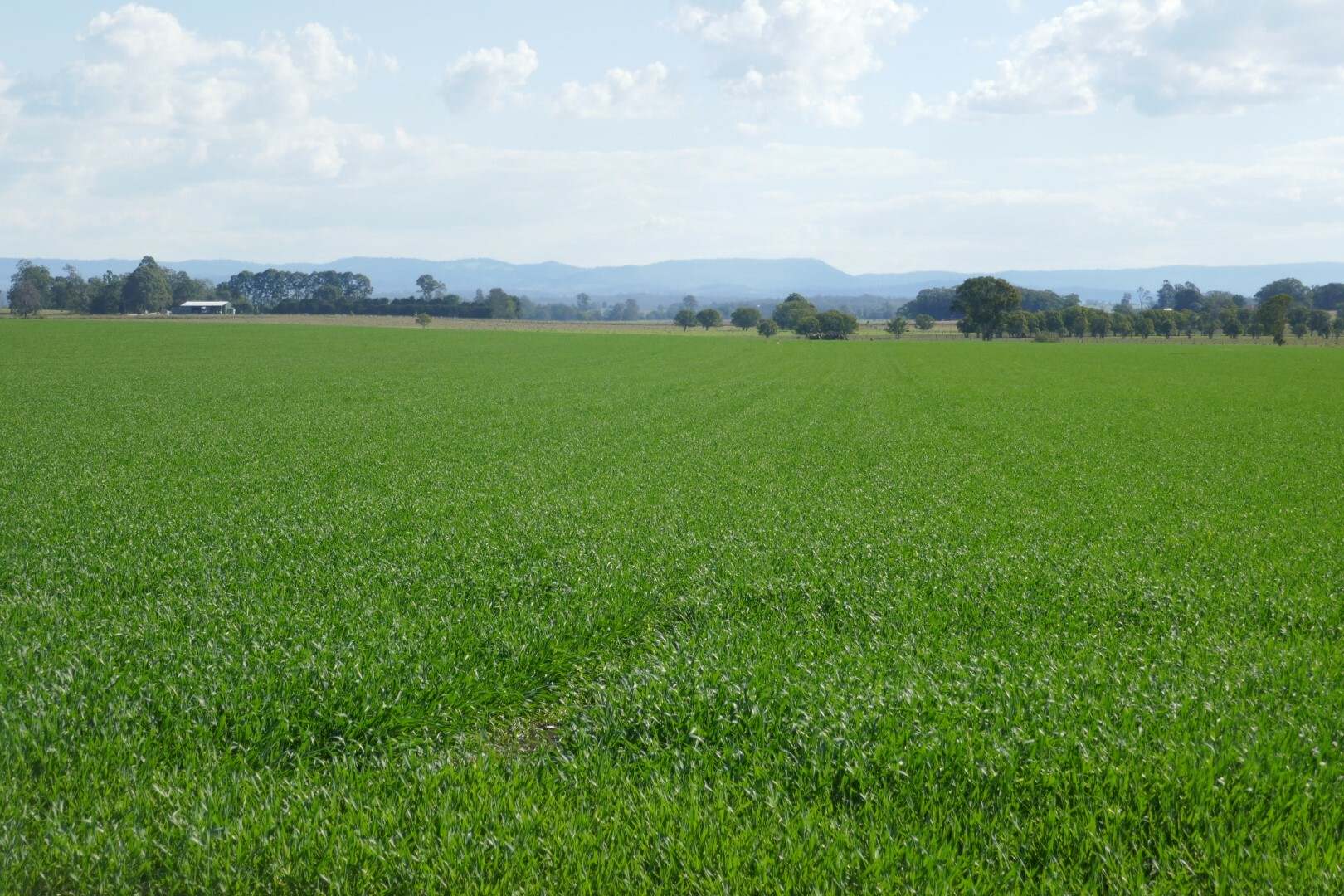 150 Fairy Hill Station Rd, Casino Sold by Farmbuy.com - image 15