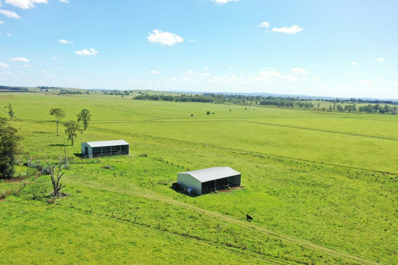 150 Fairy Hill Station Rd, Casino Sold by Farmbuy.com - image 12