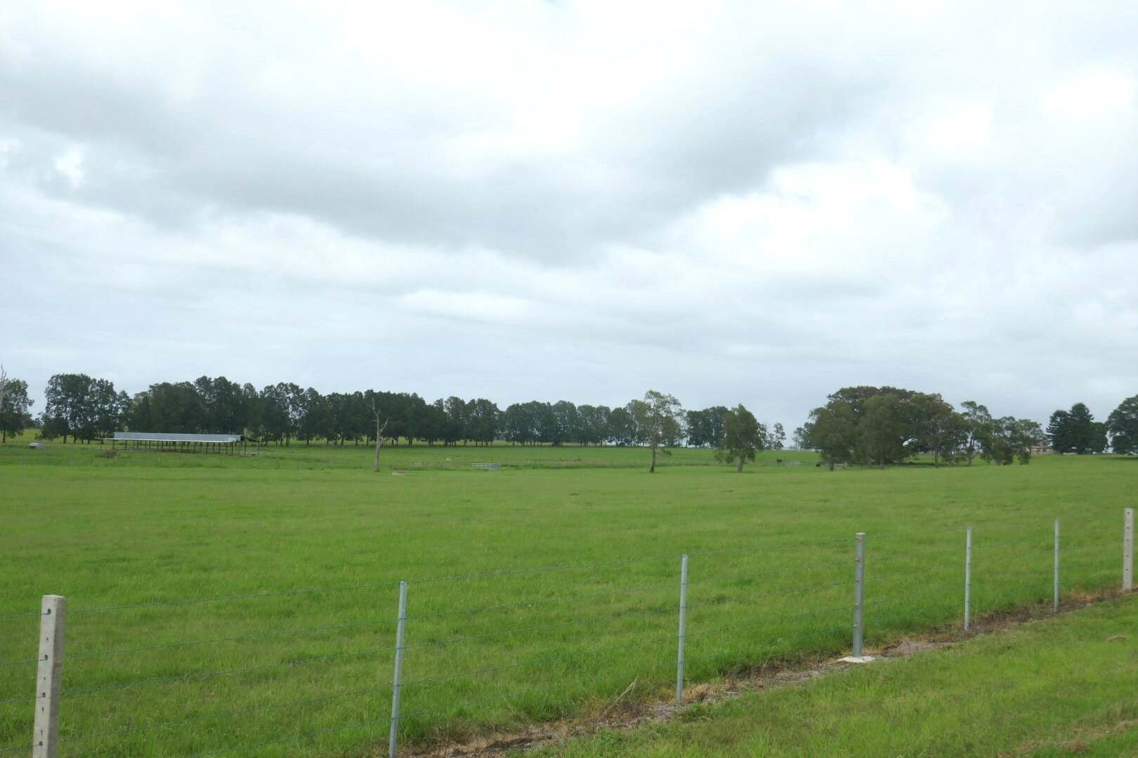 150 Fairy Hill Station Rd, Casino Sold by Farmbuy.com - image 21