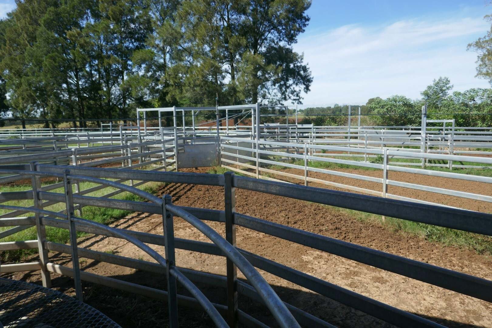 150 Fairy Hill Station Rd, Casino Sold by Farmbuy.com - image 33