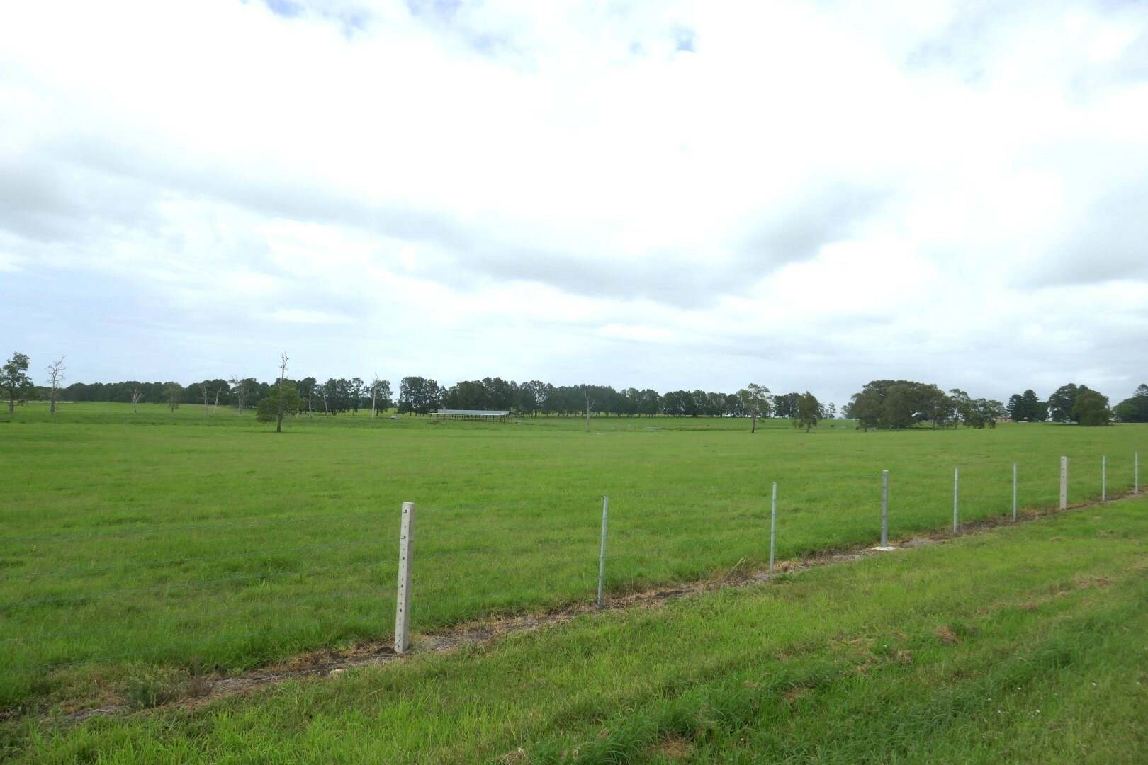 150 Fairy Hill Station Rd, Casino Sold by Farmbuy.com - image 20