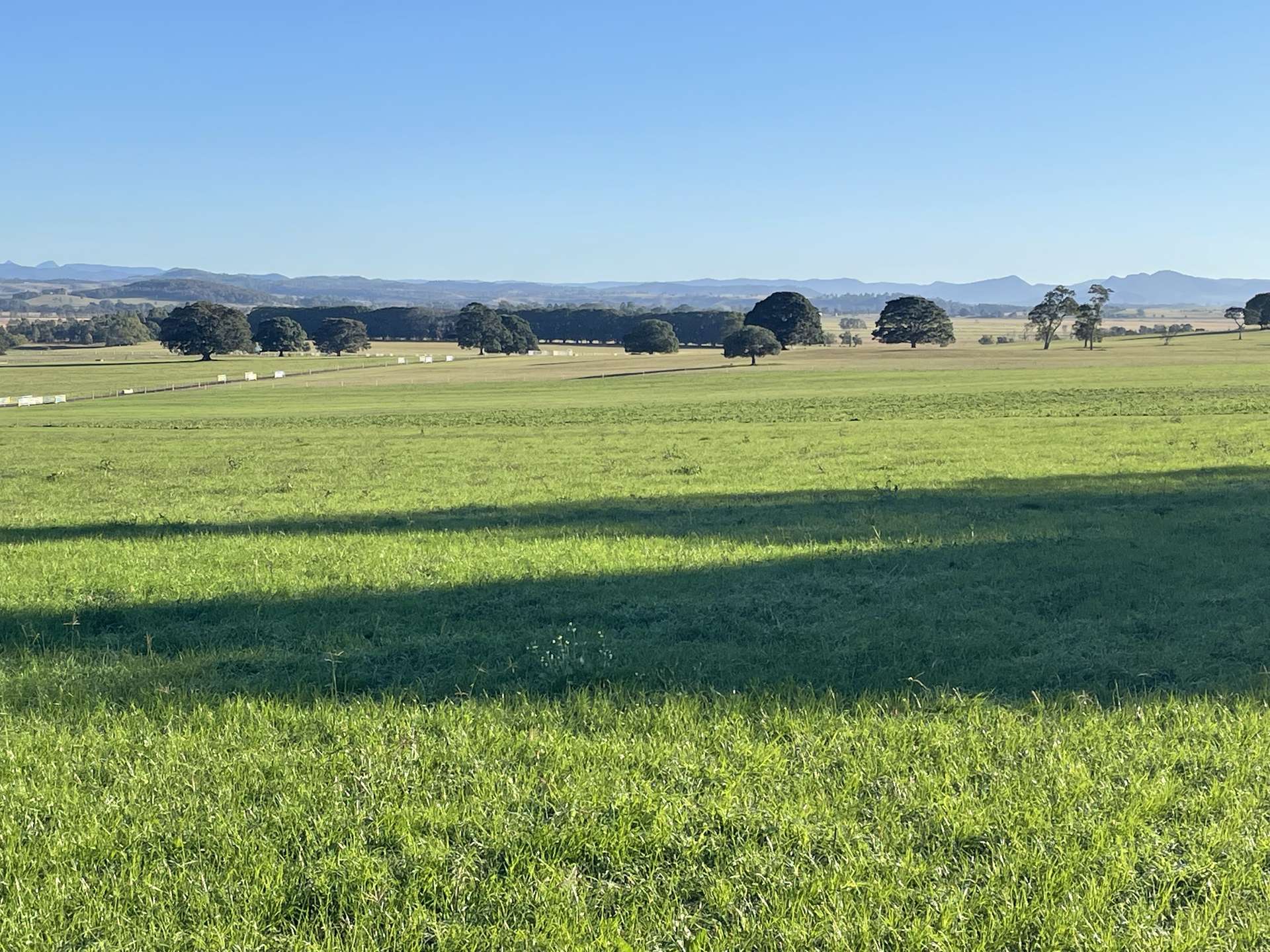 150 Fairy Hill Station Rd, Casino Sold by Farmbuy.com - image 17