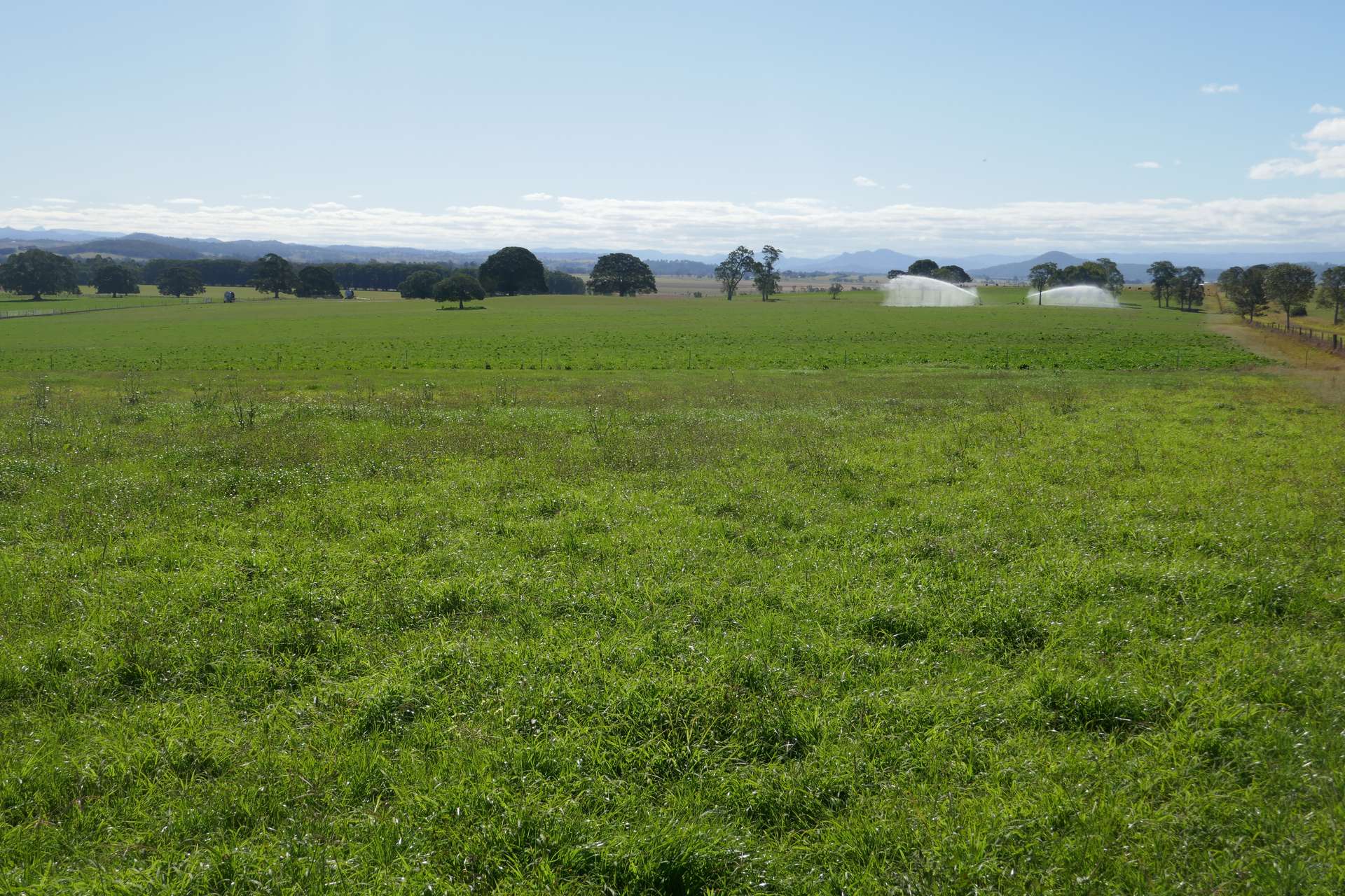150 Fairy Hill Station Rd, Casino Sold by Farmbuy.com - image 19