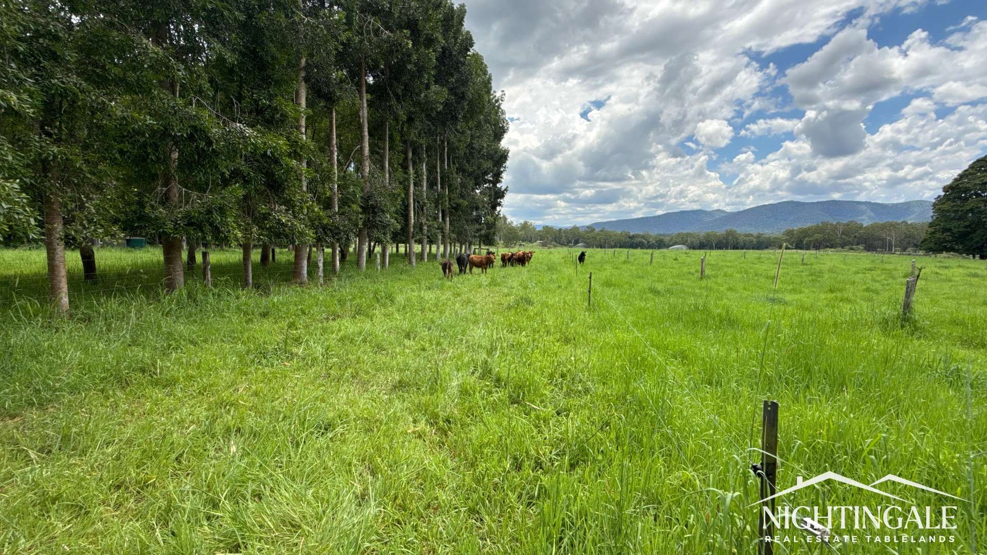 8622 Kennedy Highway, Atherton For Sale by Farmbuy.com - image 2