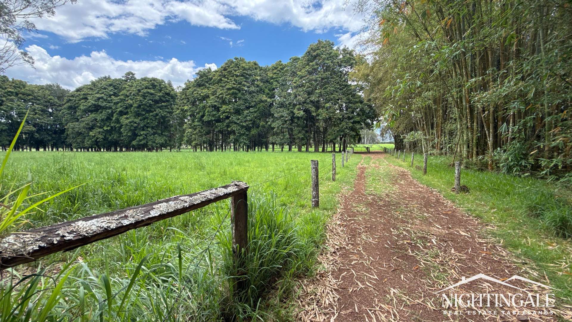 8622 Kennedy Highway, Atherton For Sale by Farmbuy.com - image 8