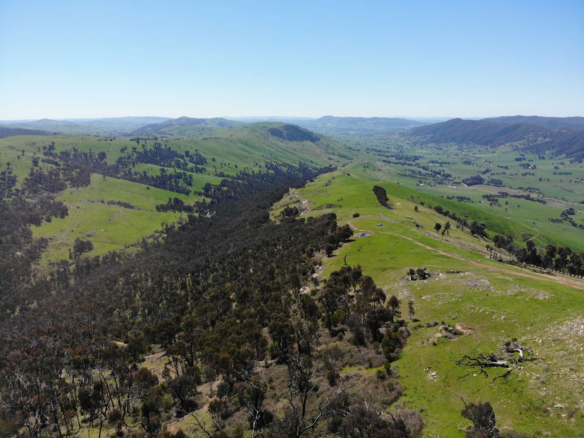 11/617793 Stewarts Road, Batlow For Sale by Farmbuy.com - image 13
