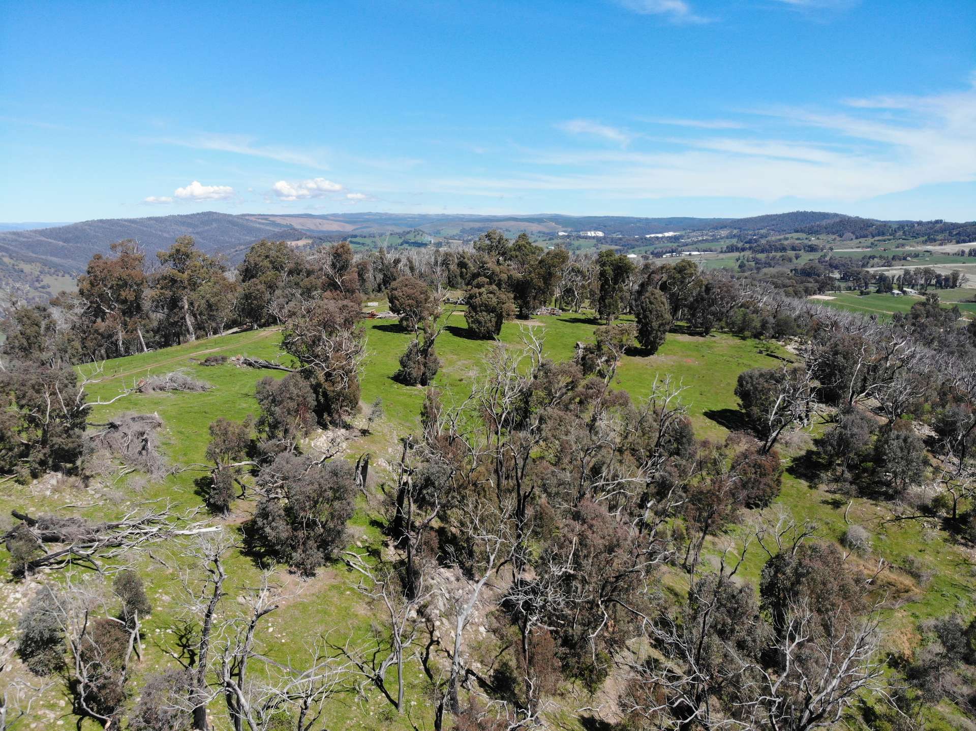 11/617793 Stewarts Road, Batlow For Sale by Farmbuy.com - image 10