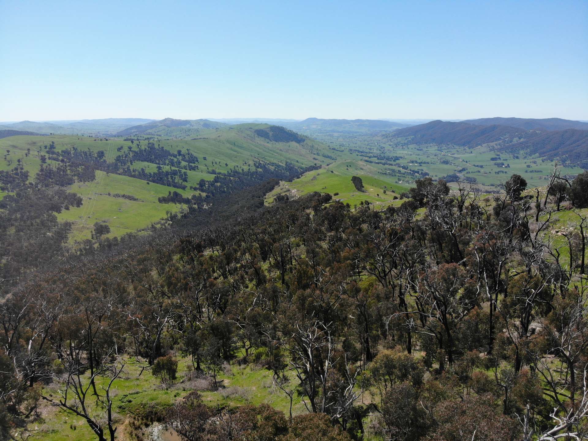 11/617793 Stewarts Road, Batlow For Sale by Farmbuy.com - image 12