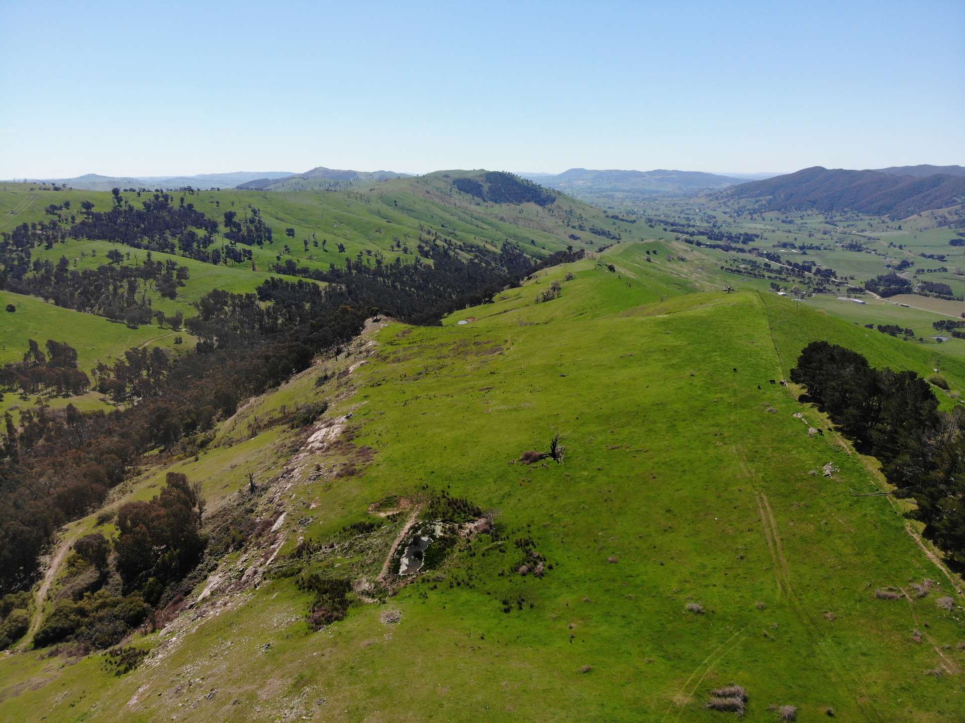 11/617793 Stewarts Road, Batlow For Sale by Farmbuy.com - image 4