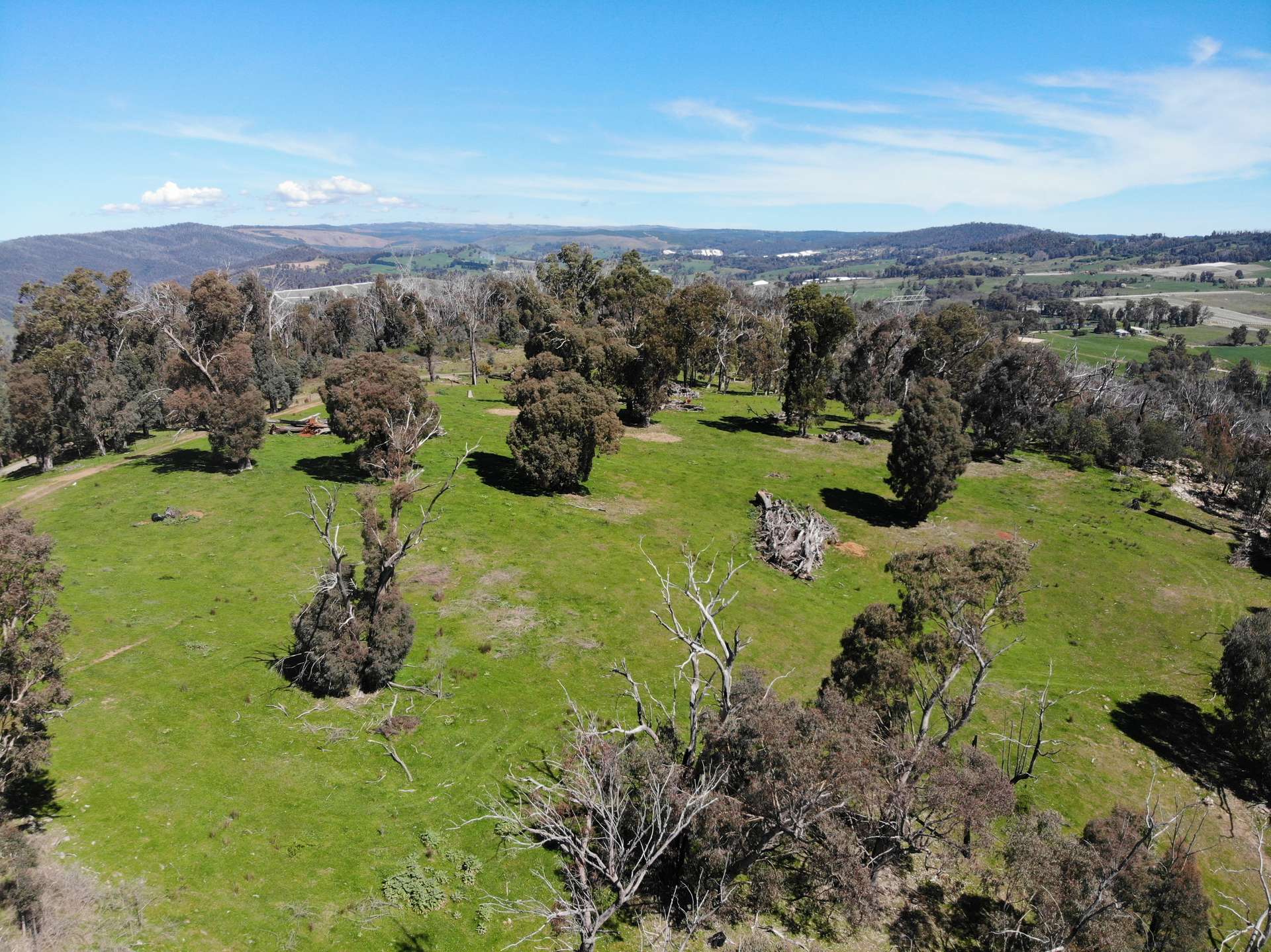 11/617793 Stewarts Road, Batlow For Sale by Farmbuy.com - image 11