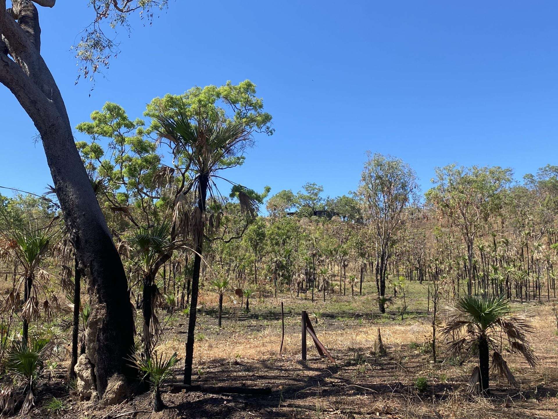 331 Wooliana Road, Daly River For Sale by Farmbuy.com - image 2