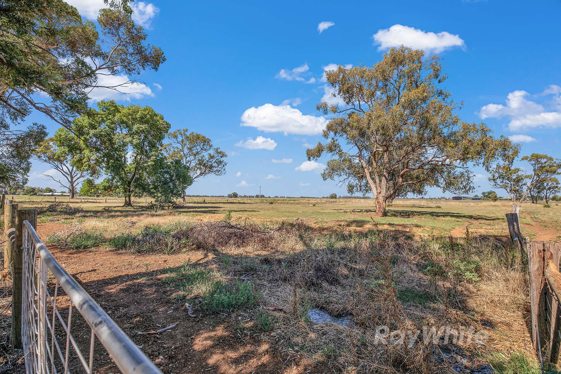 803 Singer Road, Bamawm Sold by Farmbuy.com - image 34