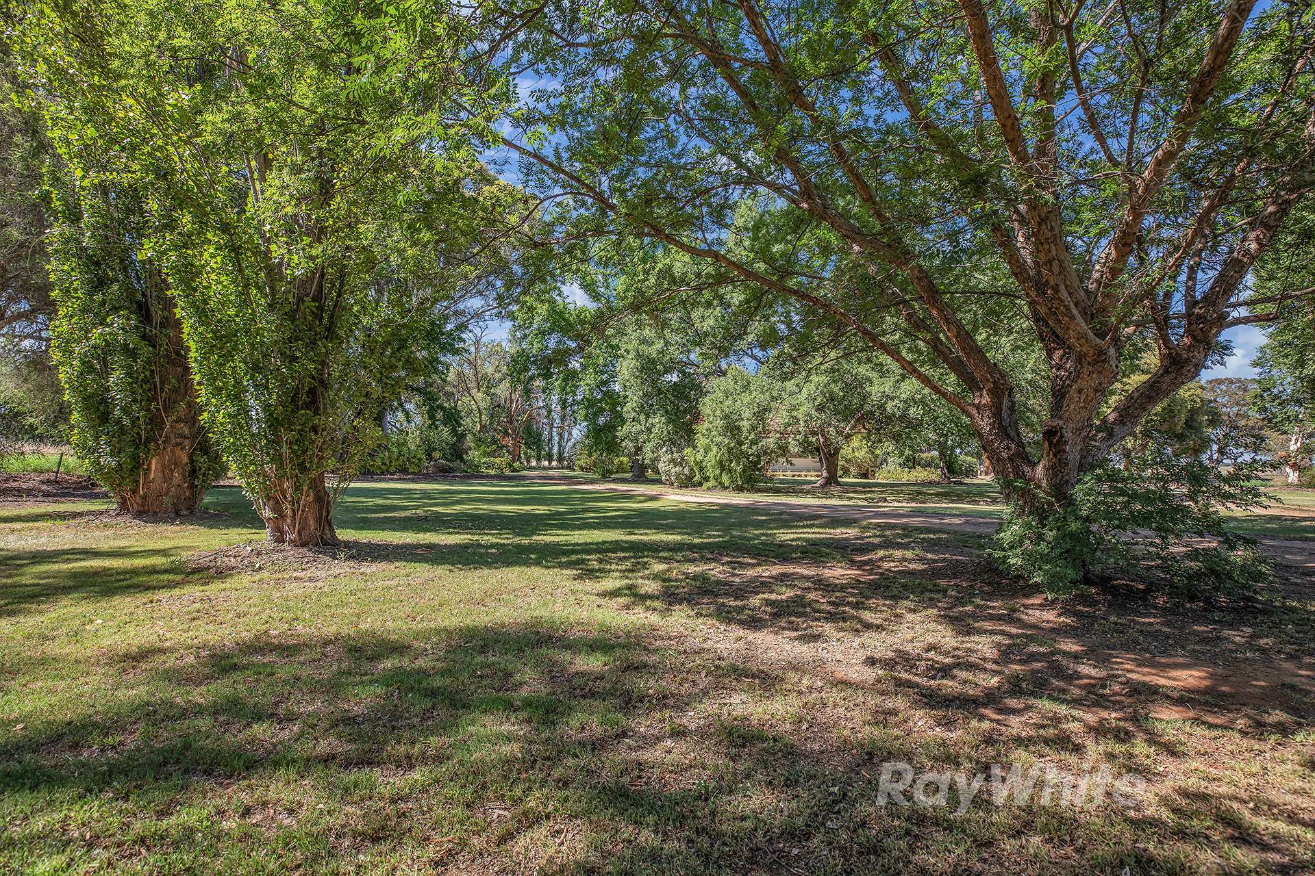 803 Singer Road, Bamawm Sold by Farmbuy.com - image 35