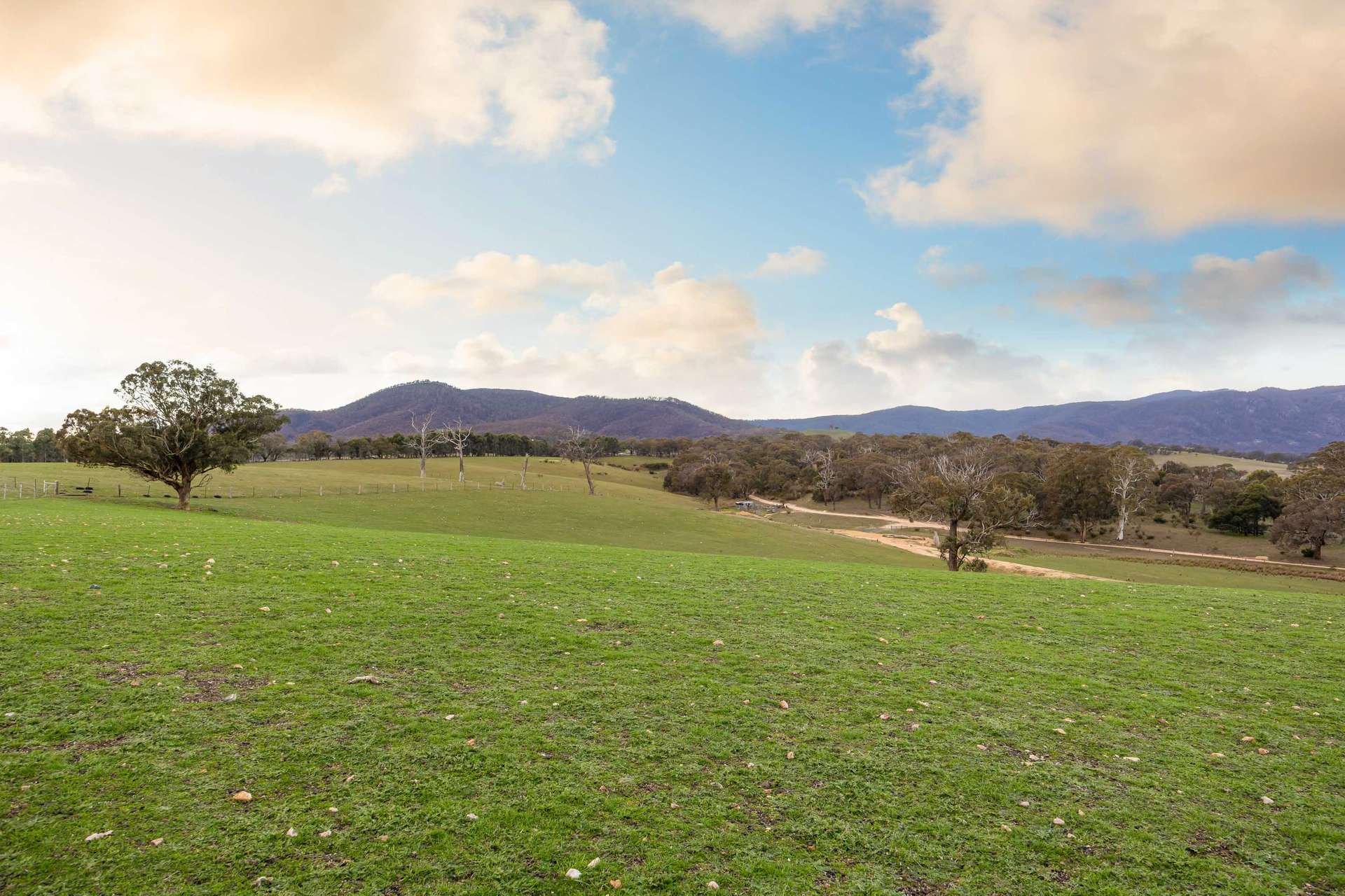 CA 7 & CA 6 Buangor -Ben Nevis Road, Warrak Sold by Farmbuy.com - image 3