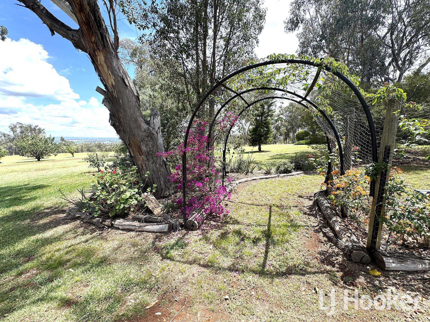 372 Swanbrook Road, Inverell For Sale by Farmbuy.com - image 32