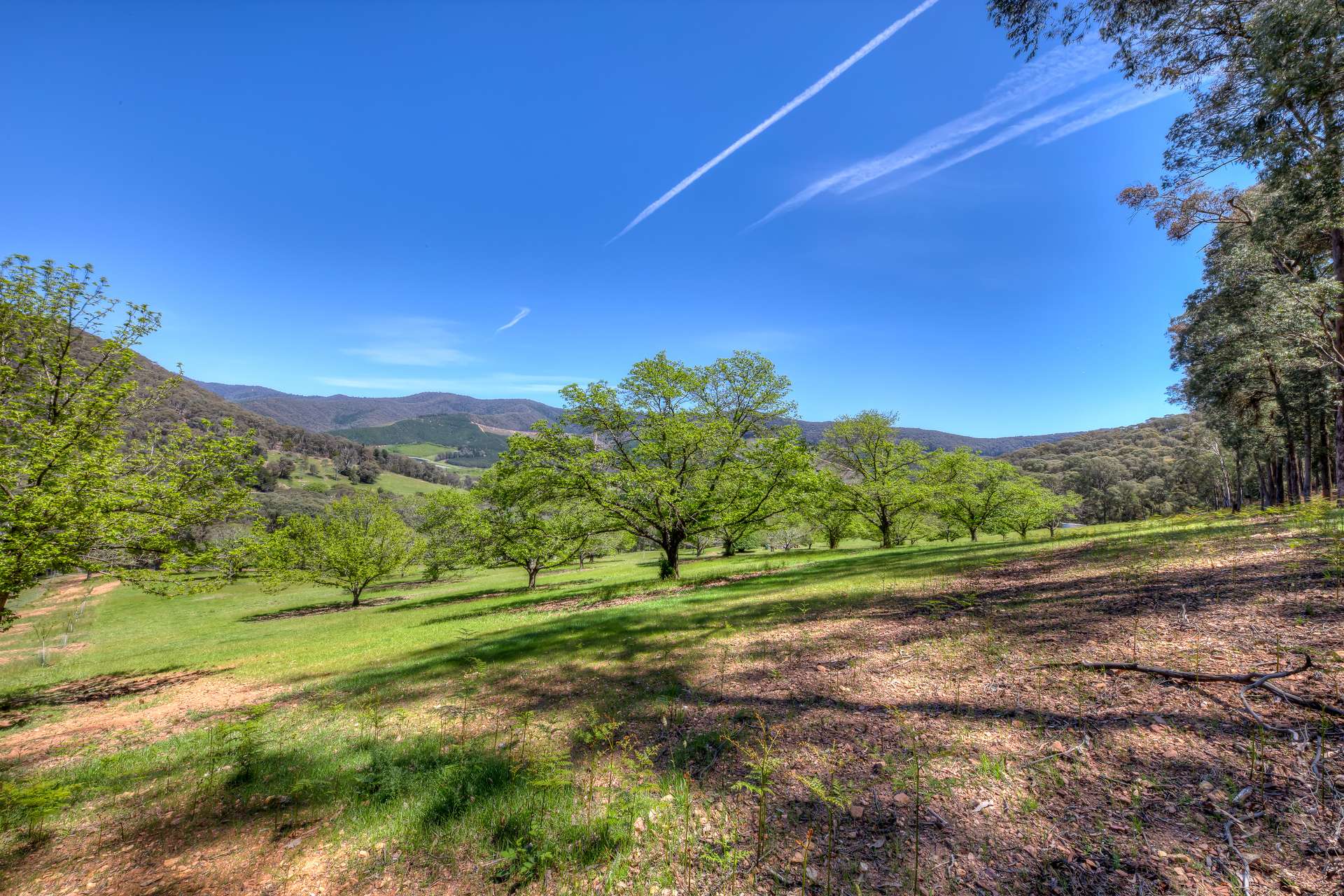 Lot CA 34C,  Tobias Track, Wandiligong For Sale by Farmbuy.com - image 12