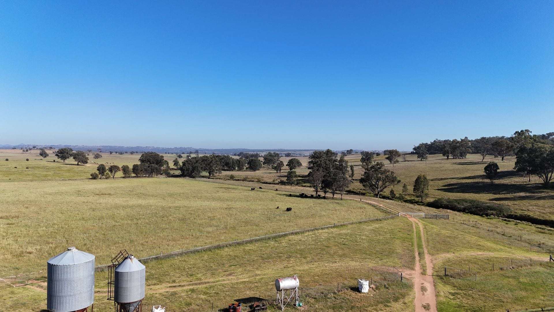 325 Toorawandi Road, Ulamambri For Sale by Farmbuy.com - image 5
