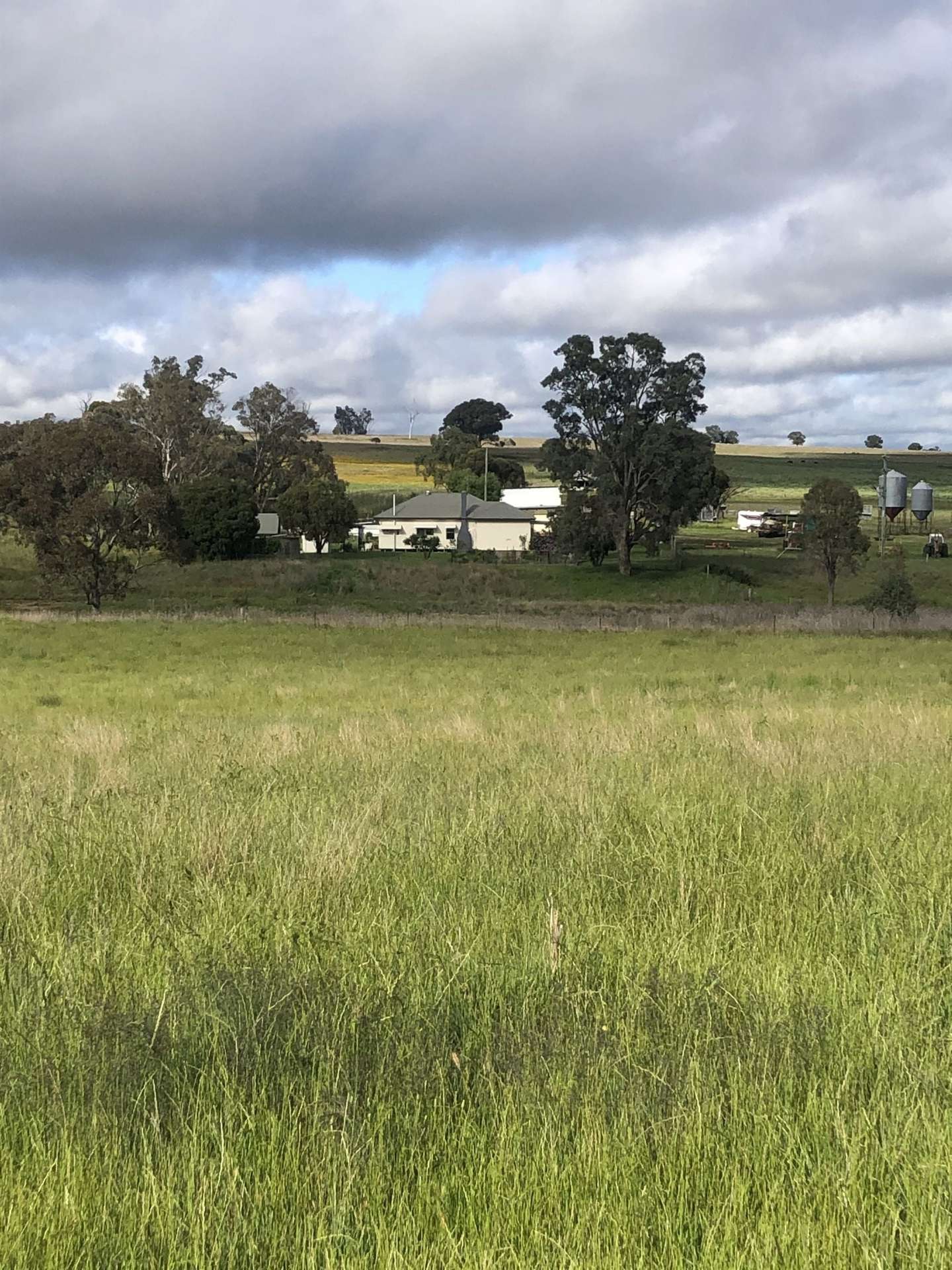 325 Toorawandi Road, Ulamambri For Sale by Farmbuy.com - image 14