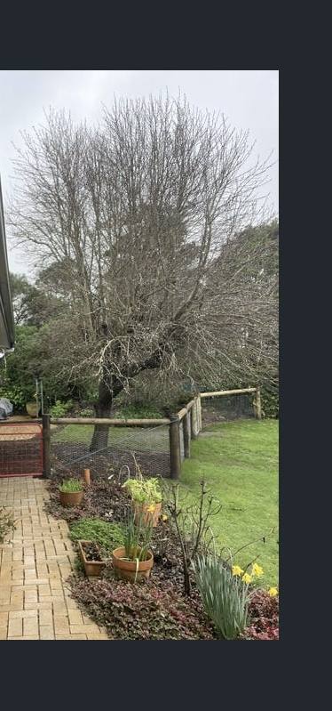10 Albert Court, Foster For Sale by Farmbuy.com - image 25