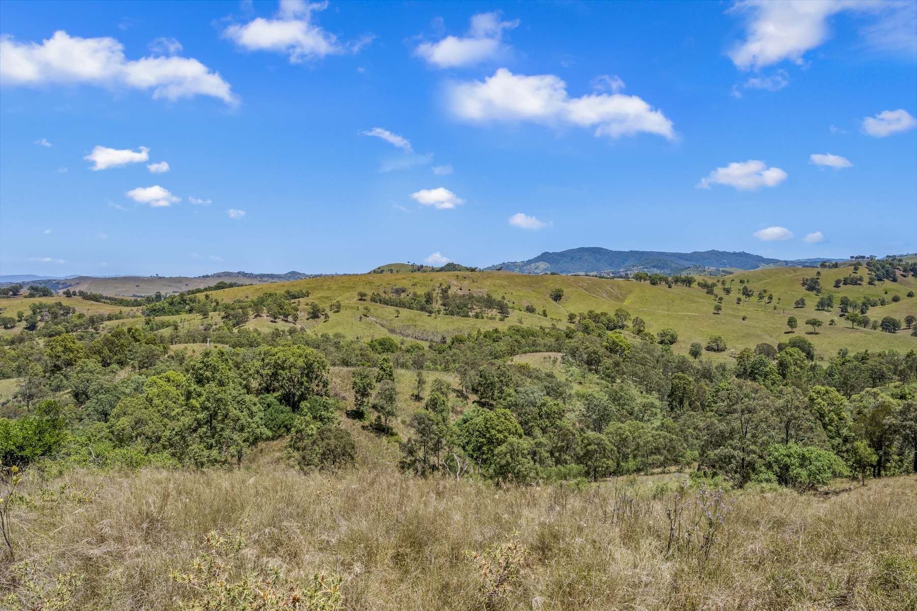 Lot 2, 1615 Mirannie Road, Singleton Sold by Farmbuy.com - image 12
