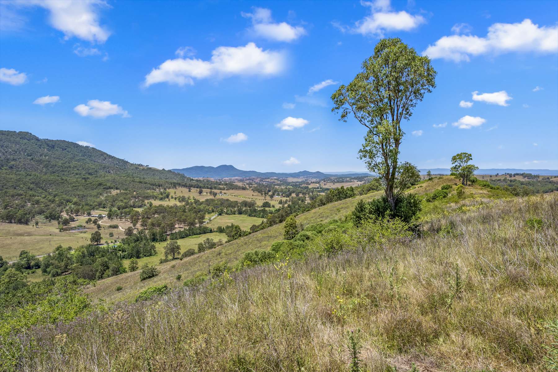 Lot 2, 1615 Mirannie Road, Singleton Sold by Farmbuy.com - image 11