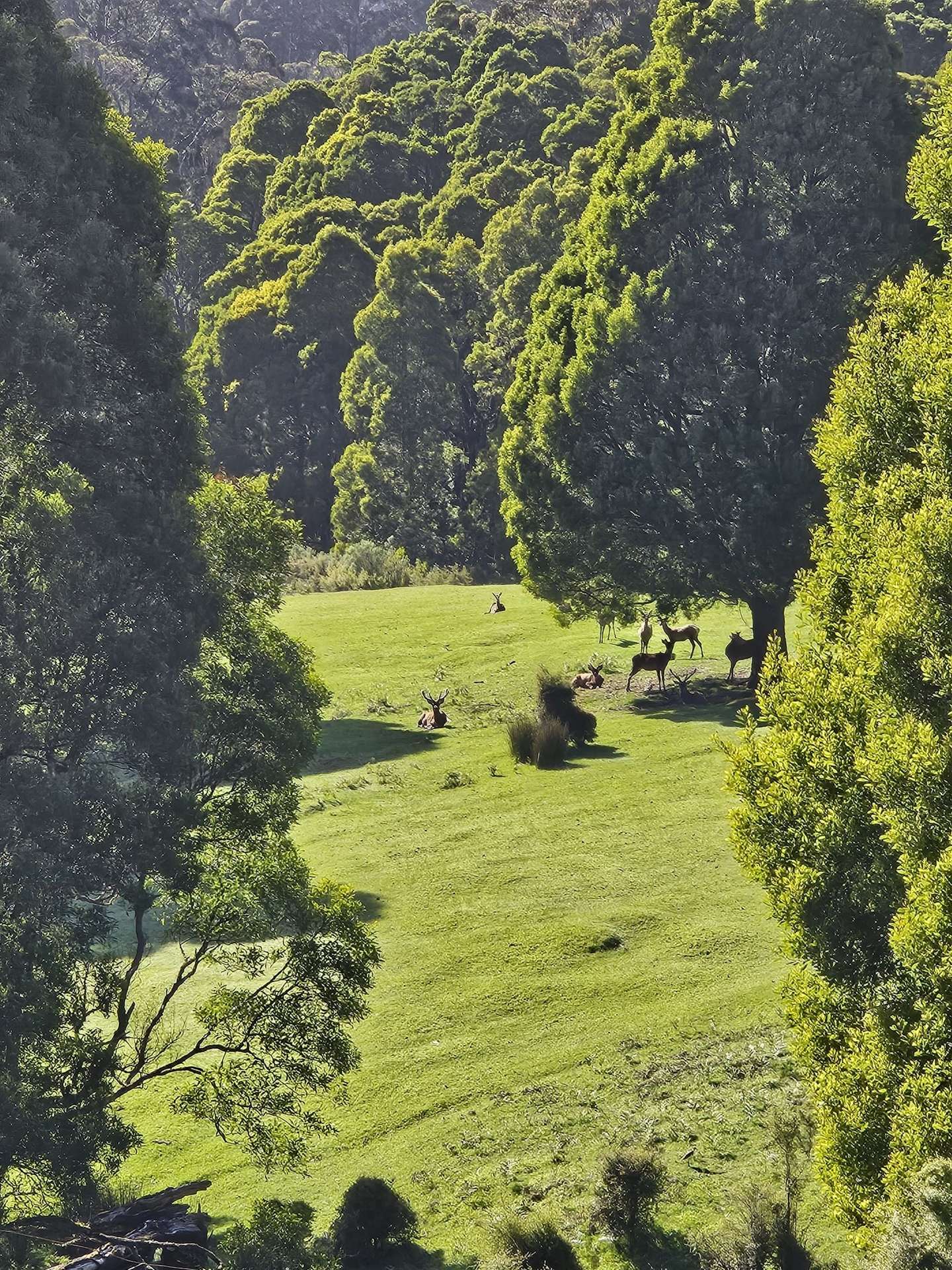 Grand Ridge For Sale by Farmbuy.com - image 2