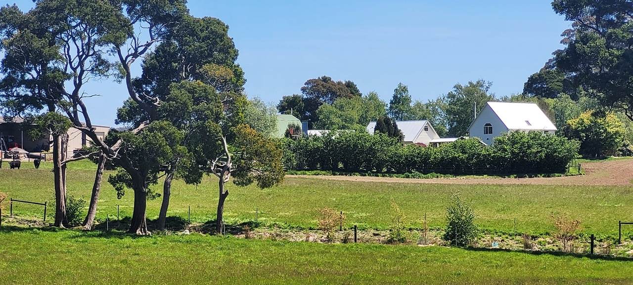 174 Fabers Road, Riana Sold by Farmbuy.com - image 34