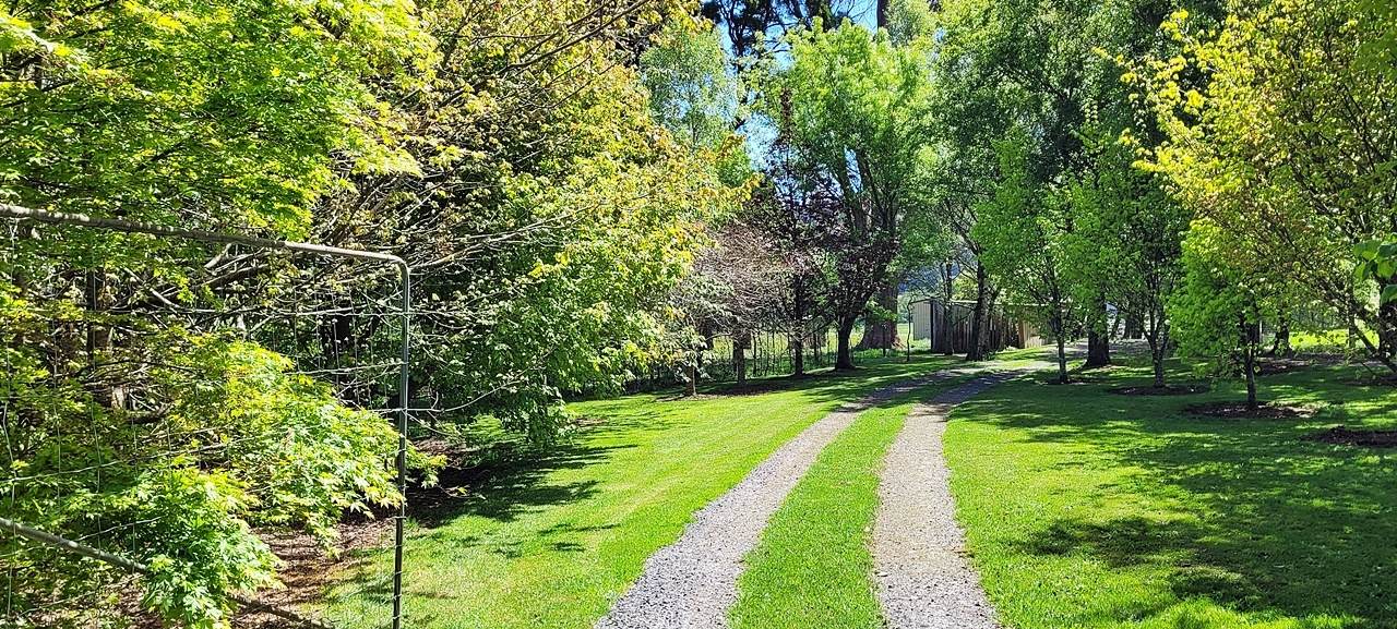 174 Fabers Road, Riana Sold by Farmbuy.com - image 27