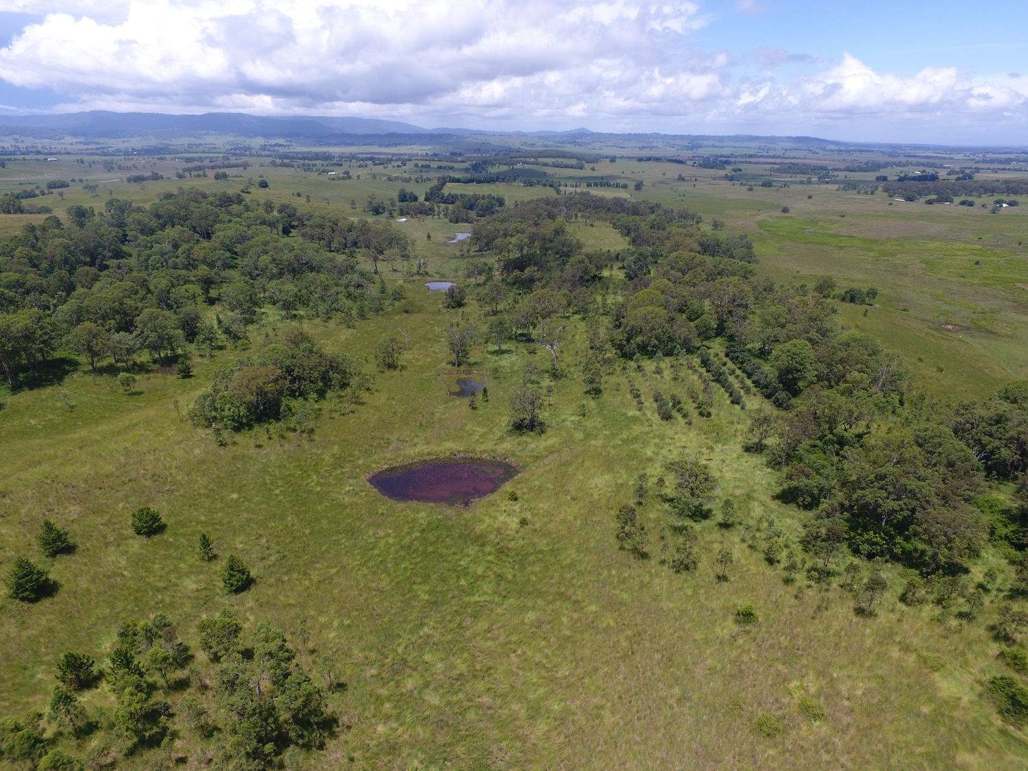 183 Mahoneys Lane, Stratheden For Sale by Farmbuy.com - image 11
