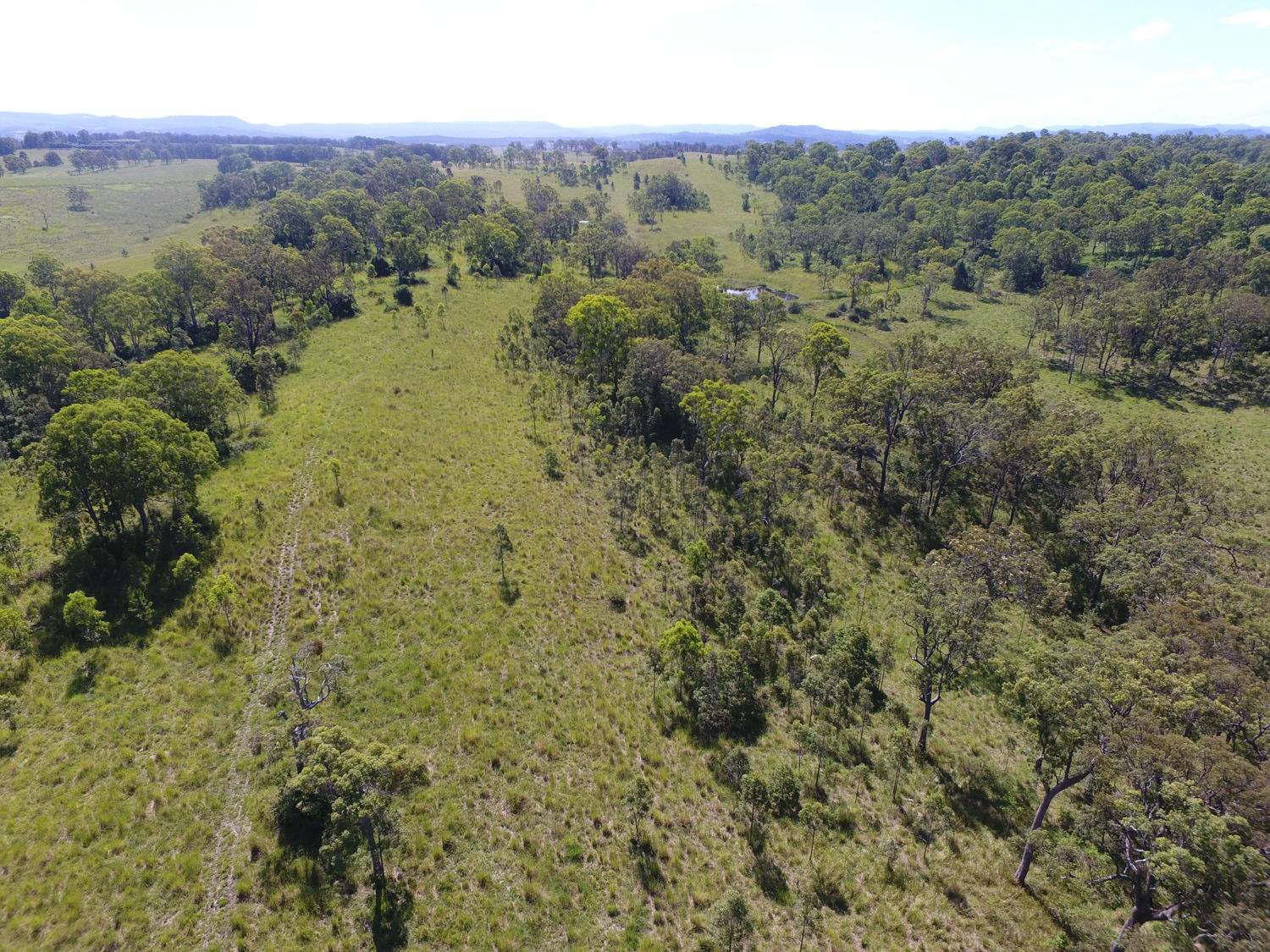 183 Mahoneys Lane, Stratheden For Sale by Farmbuy.com - image 18