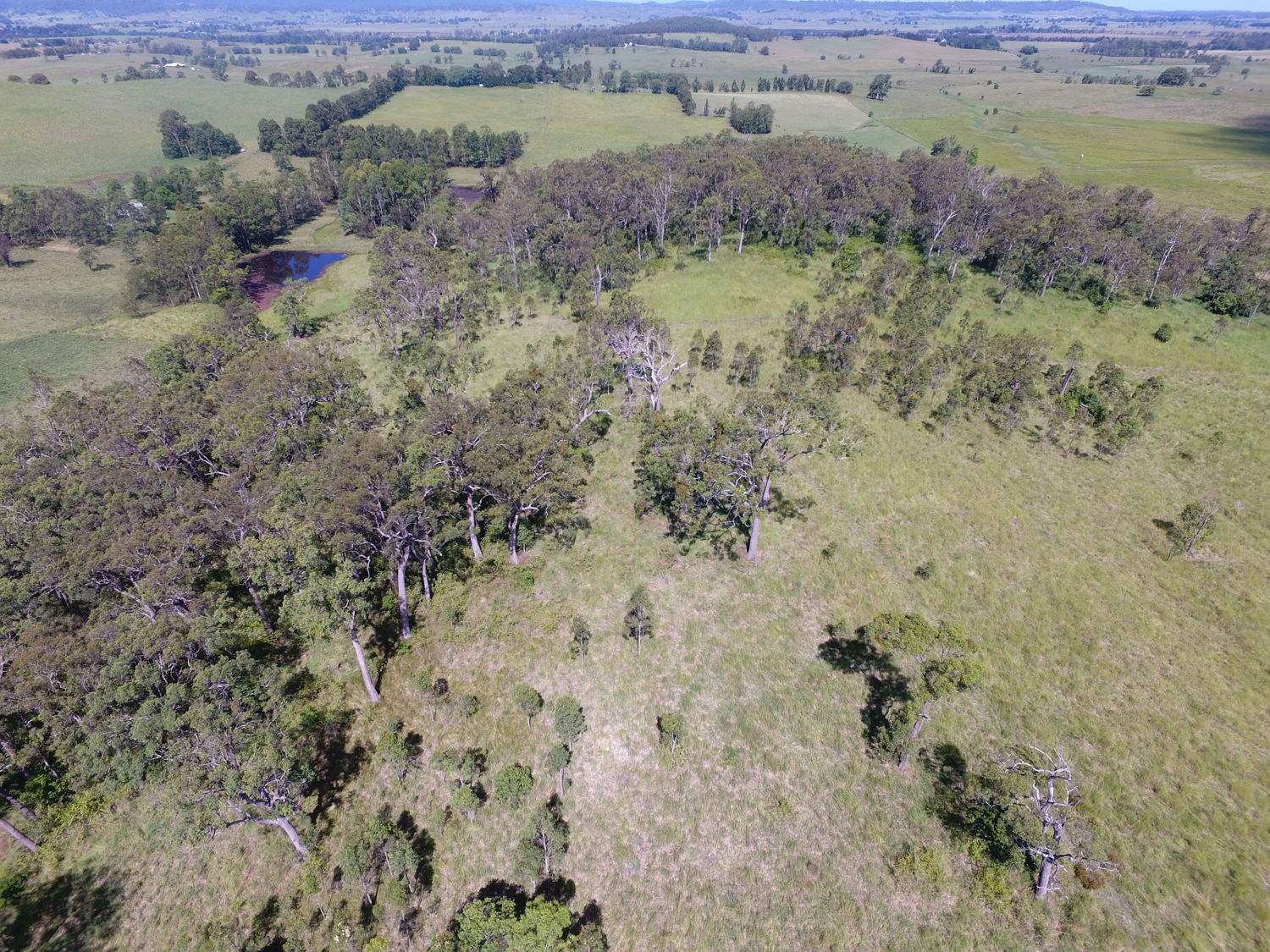 183 Mahoneys Lane, Stratheden For Sale by Farmbuy.com - image 20