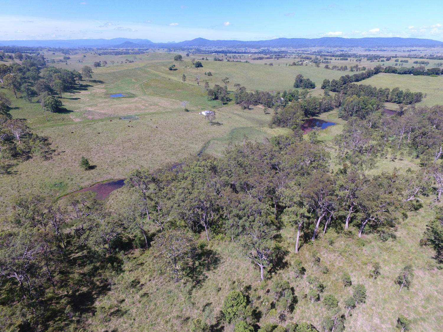 183 Mahoneys Lane, Stratheden For Sale by Farmbuy.com - image 19