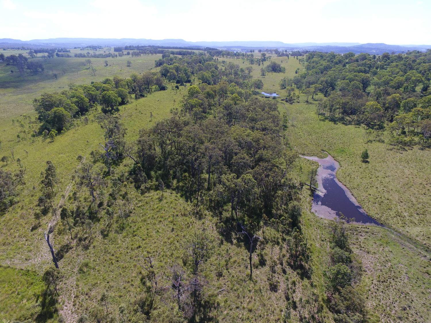 183 Mahoneys Lane, Stratheden For Sale by Farmbuy.com - image 3