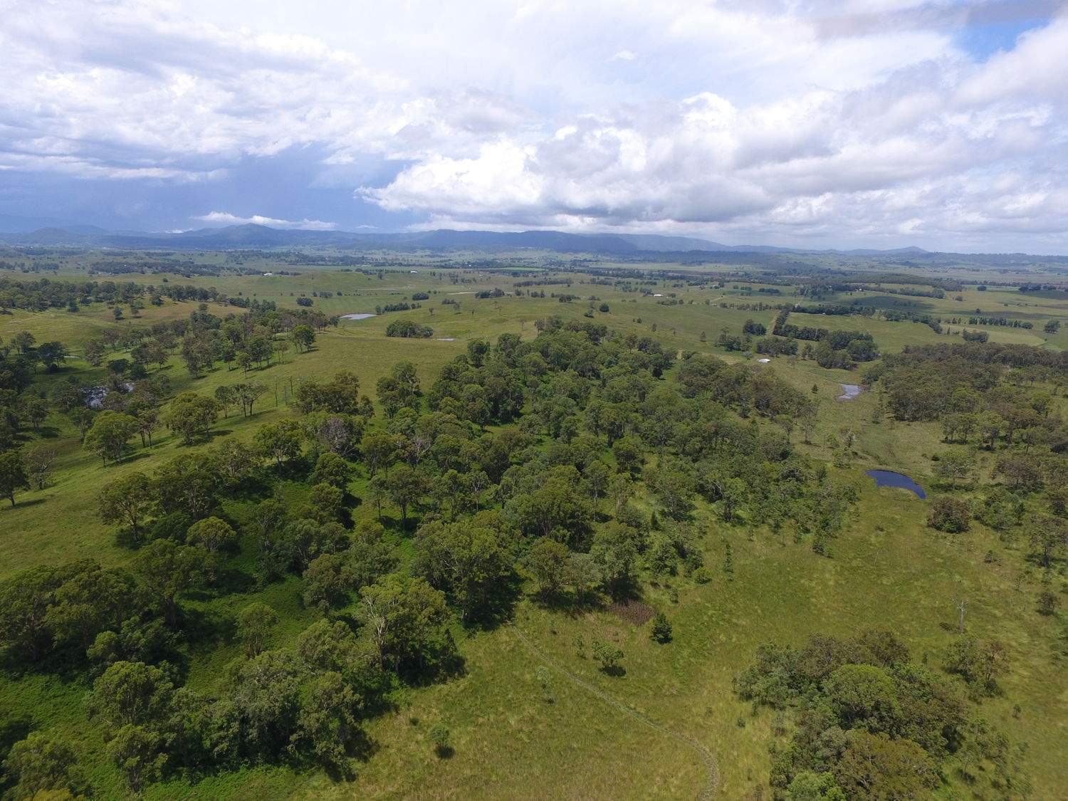 183 Mahoneys Lane, Stratheden For Sale by Farmbuy.com - image 12