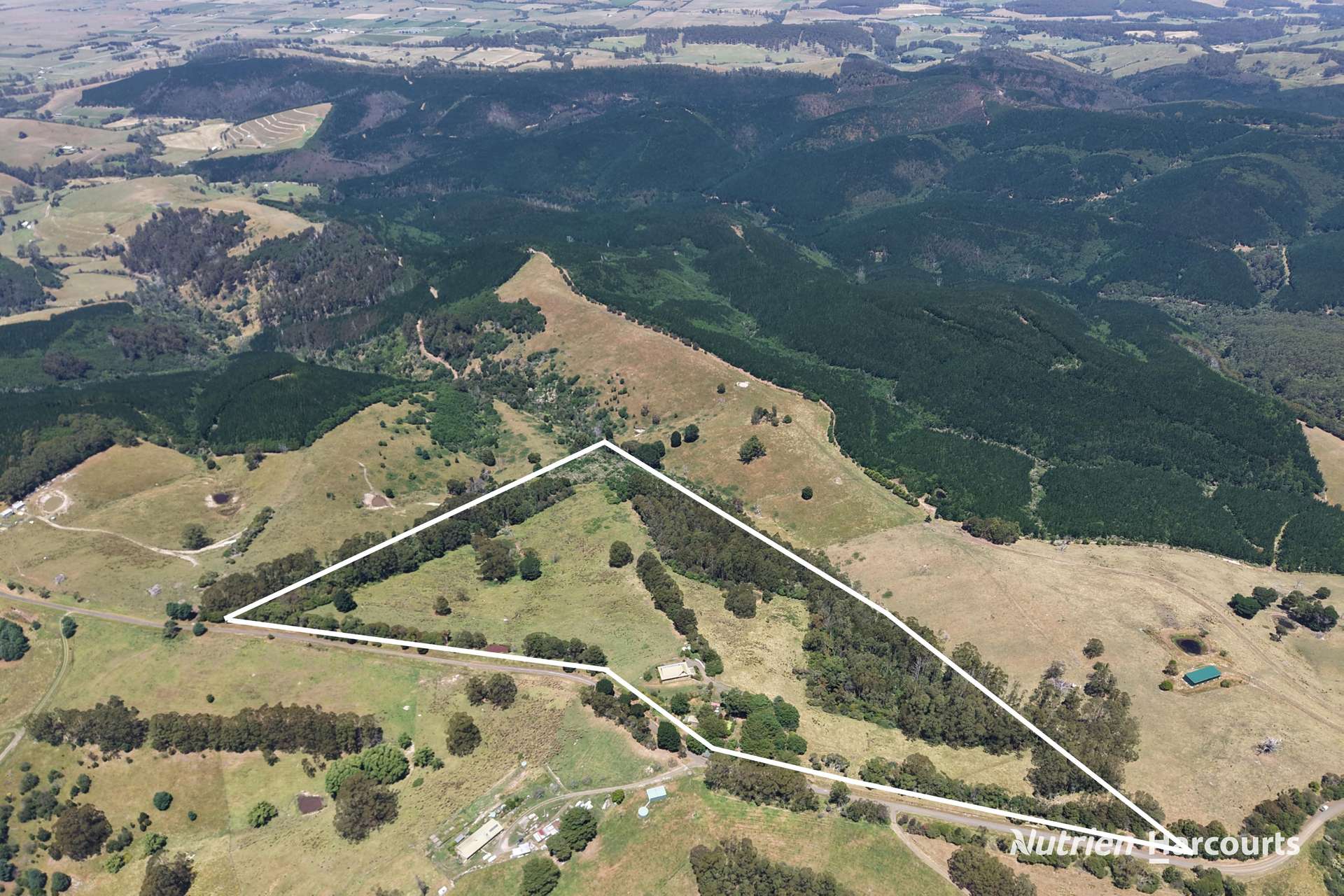 230 Turpins Road, Madalya For Sale by Farmbuy.com - image 2