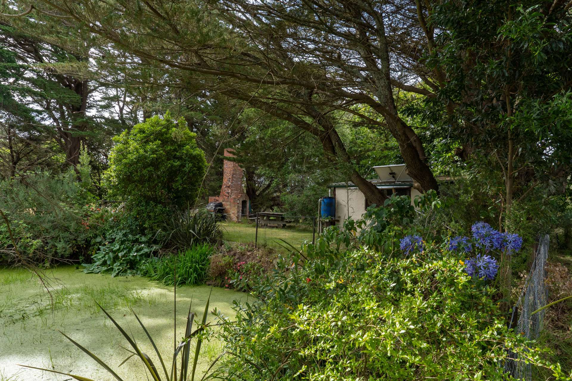 230 Turpins Road, Madalya For Sale by Farmbuy.com - image 28