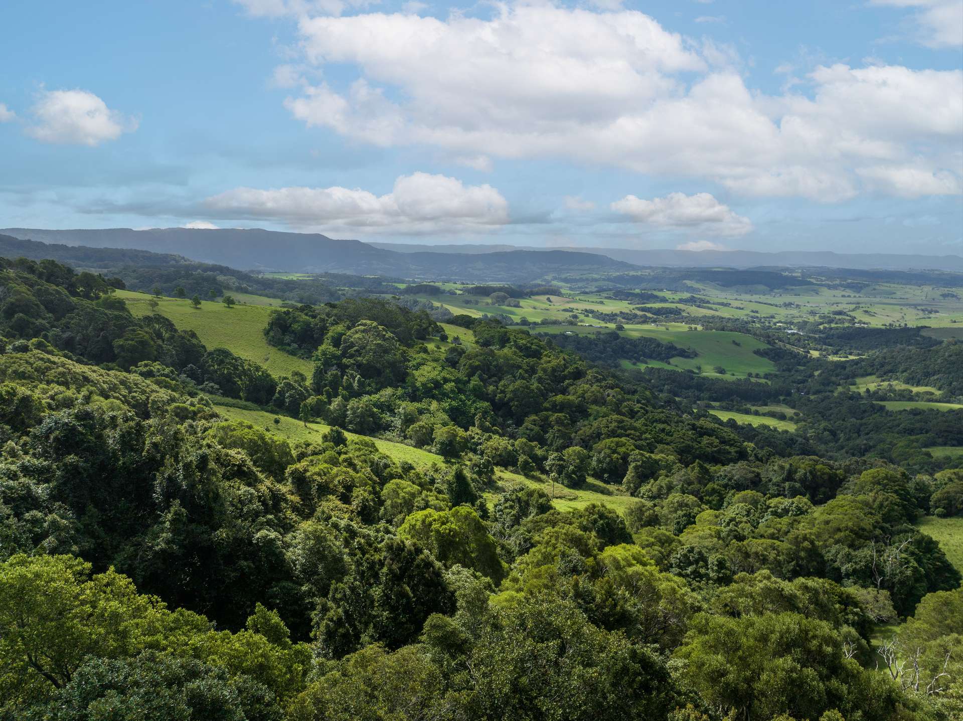 'DJAWULA' Lot 2022 Wilsons Road, Saddleback Mountain For Sale by Farmbuy.com - image 16